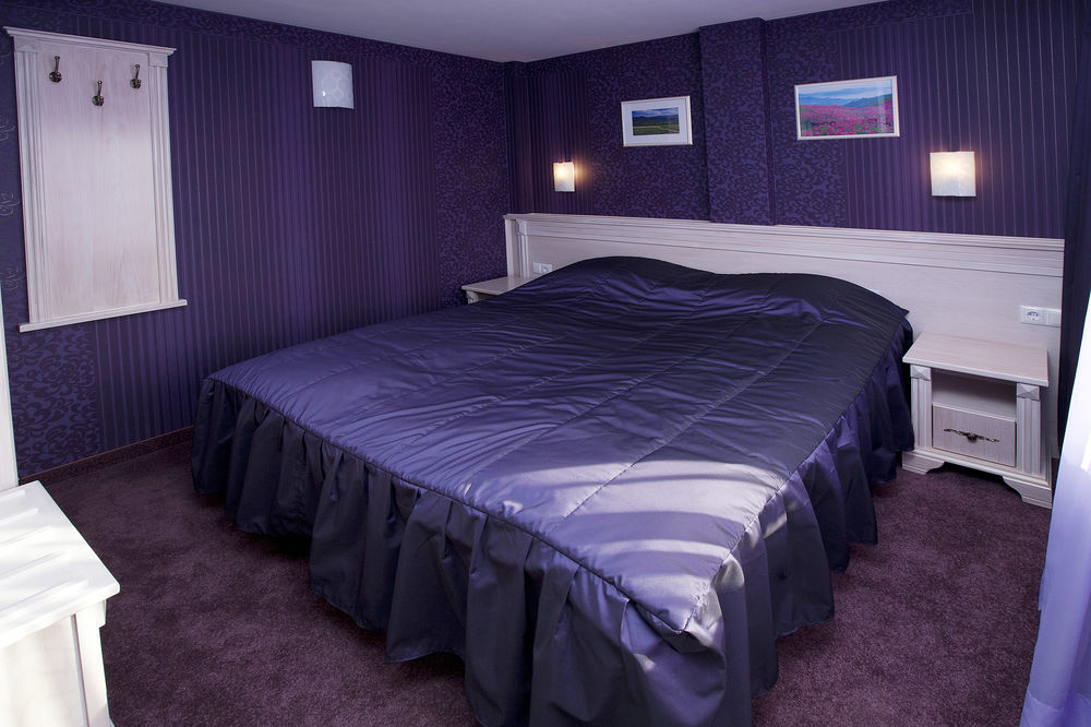 Aris Hotel סופיה חדר תמונה